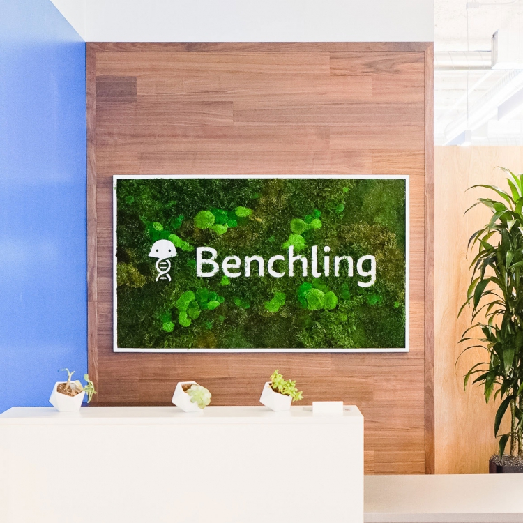 Moss-filled, framed box sign with white logo on walnut plank wall for the San Francisco office of Benchling, a unified platform to accelerate, measure, and forecast R&D from discovery through bioprocessing.