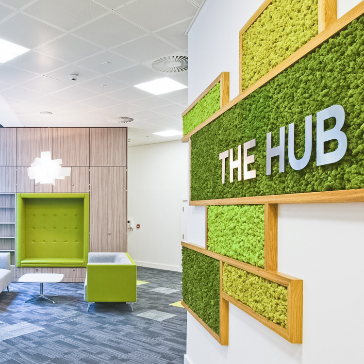 Boxed moss with silver logo on white wall for The Hub