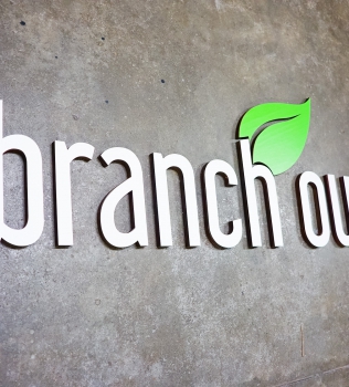 Branch Out