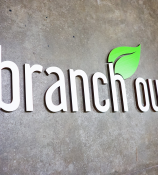Branch Out