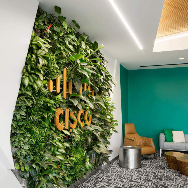living wall at cisco office