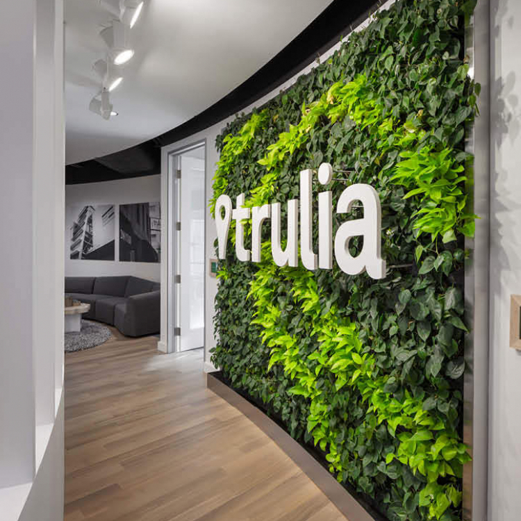 Curved living wall with white dimensional logo on curved wall at Trulia office
