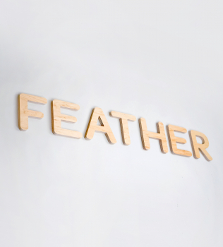 Feather