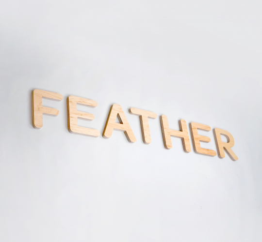 Feather