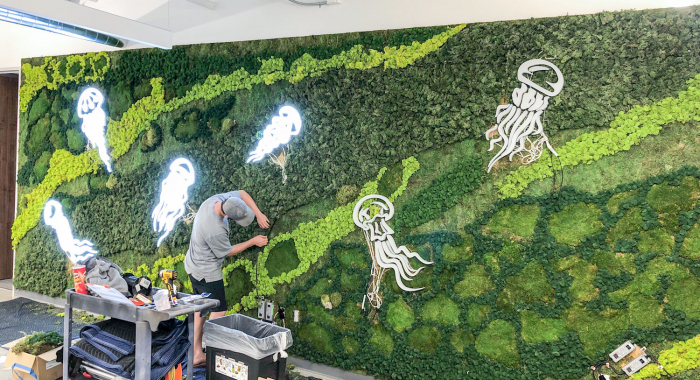 Illuminated, neon-style jellyfish on moss wall at the office of Benchling, a San Francisco based company working on a unified platform to accelerate, measure, and forecast R&D from discovery through bioprocessing.