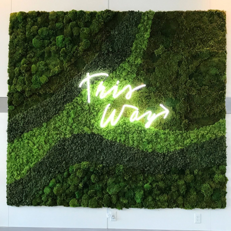 neon sign on moss wall saying 