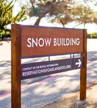 Protected: Oakland Zoo – Snow Building