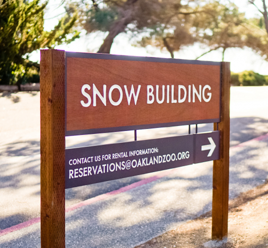Protected: Oakland Zoo – Snow Building