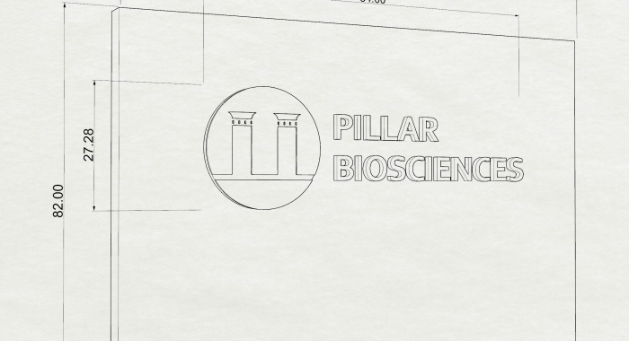 pillar-rendering