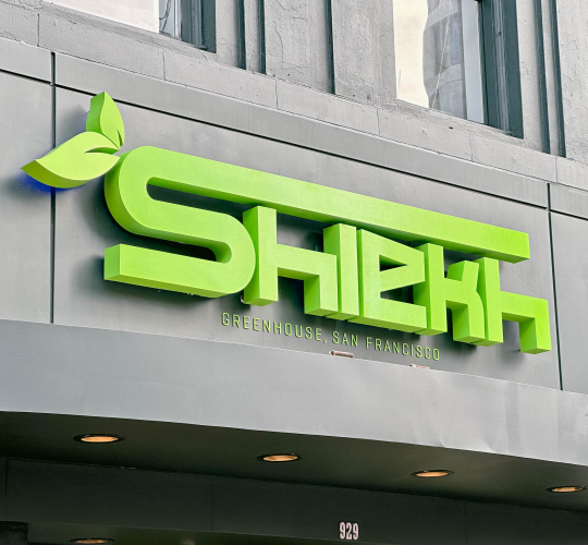 Shiekh Shoes Exterior Retail Sign