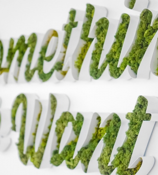 20 Moss Signs to Make You Green with Envy