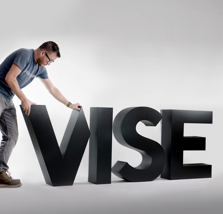 VISE AI